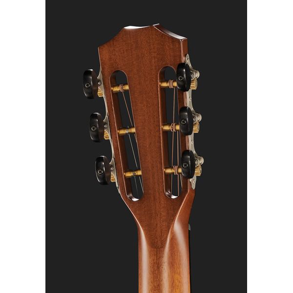 Taylor 512ce 12-Fret Urban Ironbark