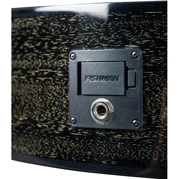 Breedlove Rainforest S Concert CE BG