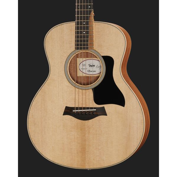 Taylor GS Mini Sapele Torrefied Top