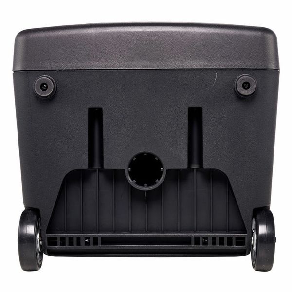 LD Systems Road Buddy 10 BPH 2