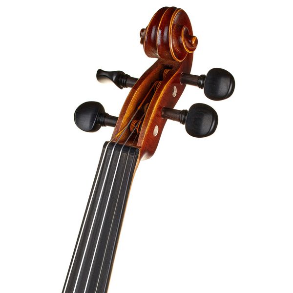 Gewa Allegro Violin Set 4/4 SC CB