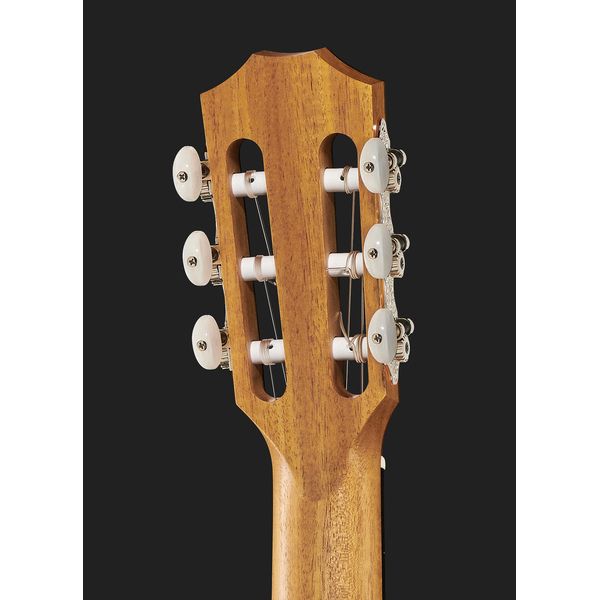 Taylor 214ce-N Spruce/Walnut