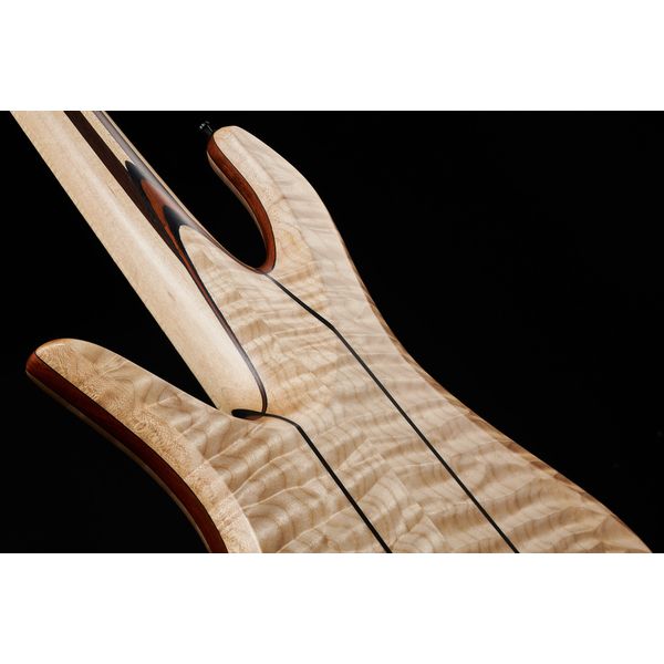 Torillo Volta 5 Quilted Maple