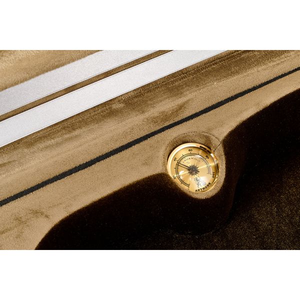 Artonus Elipe Violin Case 4/4 O1