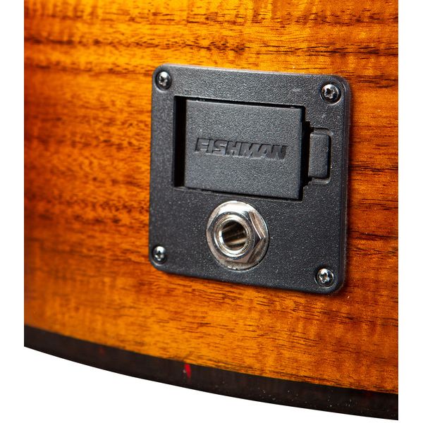 Breedlove Exotic S Concert CE EB