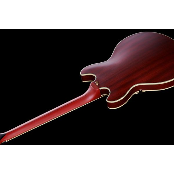 DAngelico Deluxe Mini DC Satin Trans Win