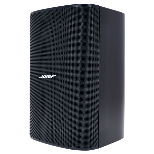 Bose Professional DesignMax DM6SE black