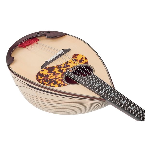 Atsushi Miyano Round Back Mandolin M-4 MR