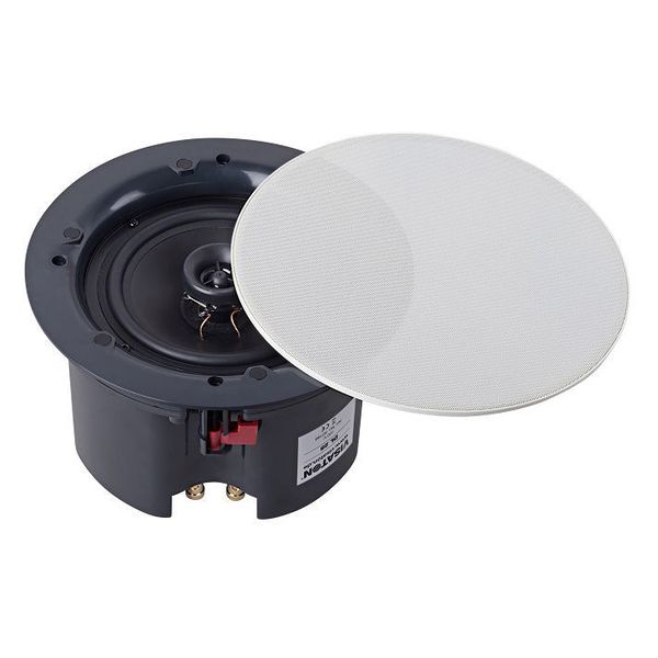 Visaton DL 25 - 100 V