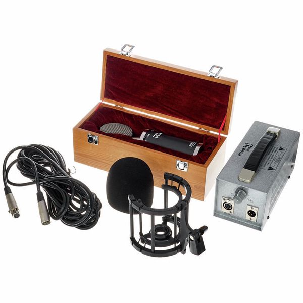 the t.bone Retro Tube II