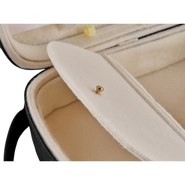 Roth & Junius RJVC Violin Case Legato 4/4
