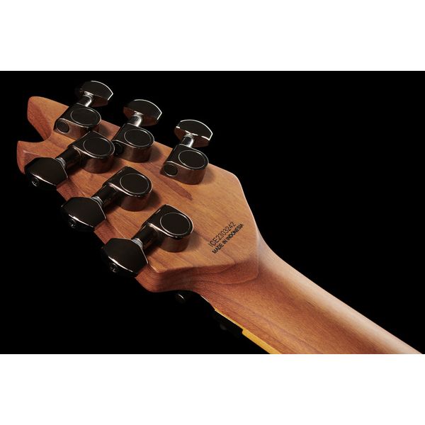 Evh Wolfgang WG Std Exotic BW