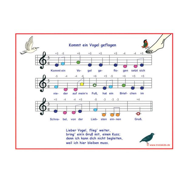 C.A. Seydel Söhne Triola Songs 4