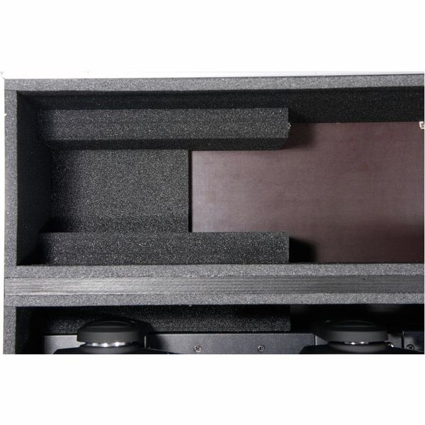 Thon Case 2x Cameo Hydrabeam 400