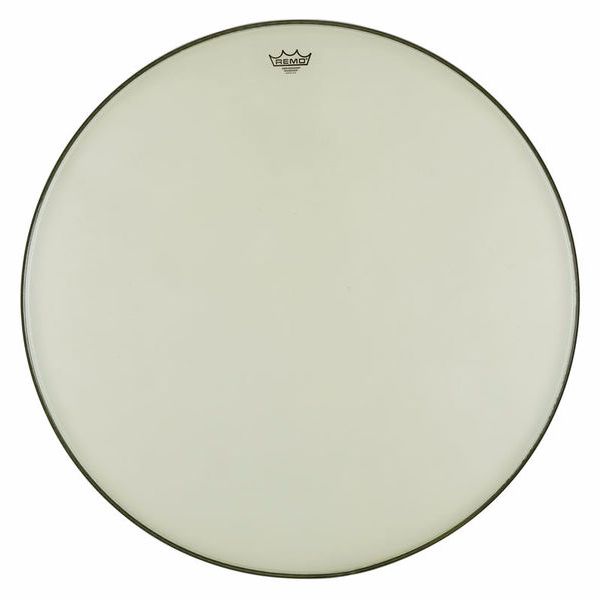 Remo 32 Renaissance Ambassador Bass