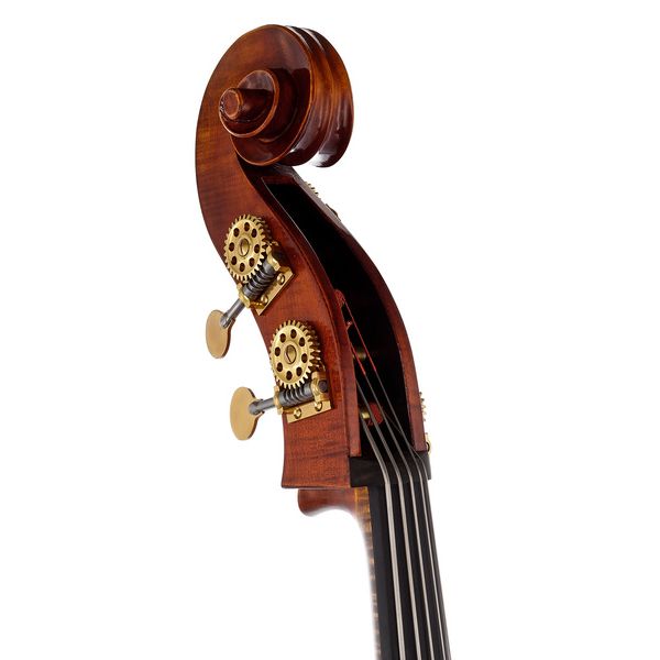 Scala Vilagio Double Bass Gamba 5-Str. IB