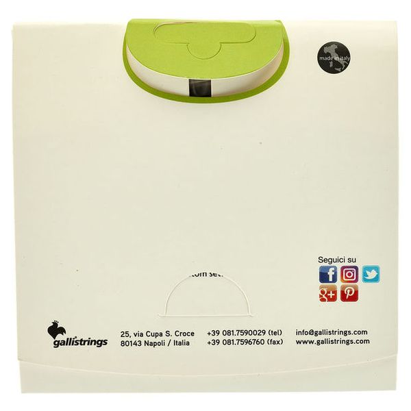 Galli Strings FG012 Viola da Terra Strings