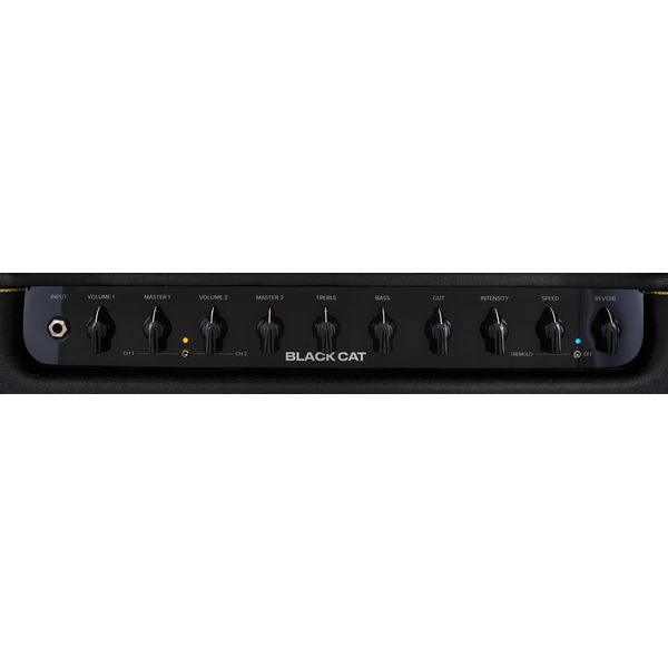 Bad Cat Black Cat 1x12 Combo