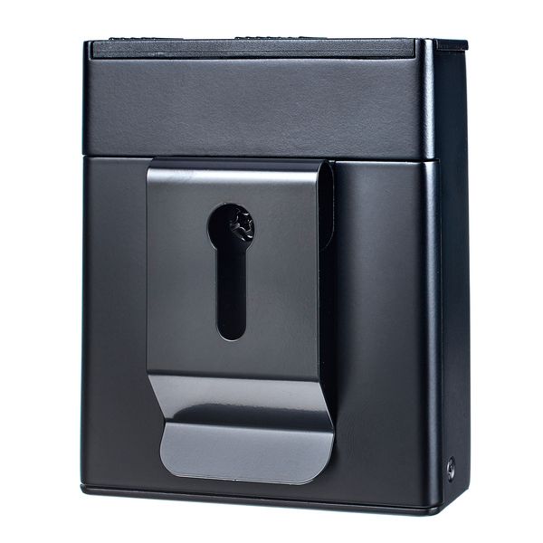 Suzuki HMH-100 Harmonica Microphone