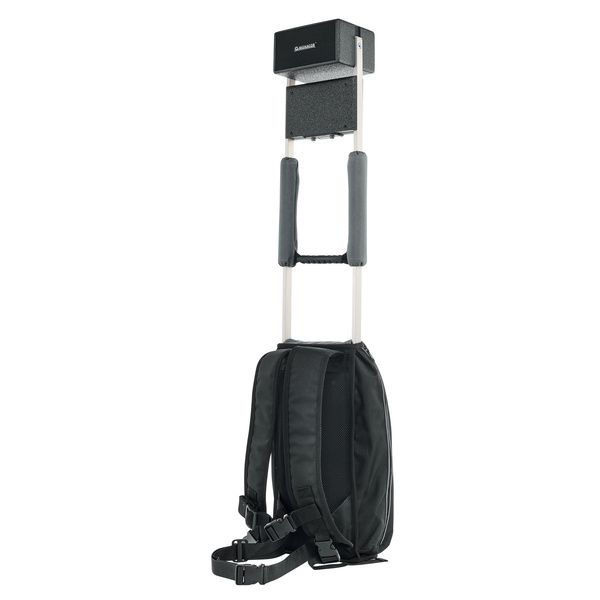 Monacor PAS-254D Handheld Bundle