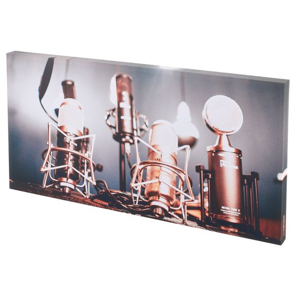 t.akustik Print Panel Shiny Mics