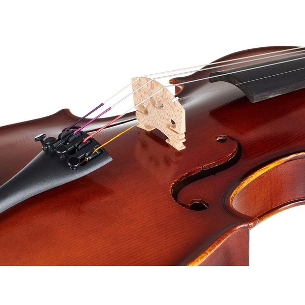 Gewa Allegro Violin Set 4/4 SC CB