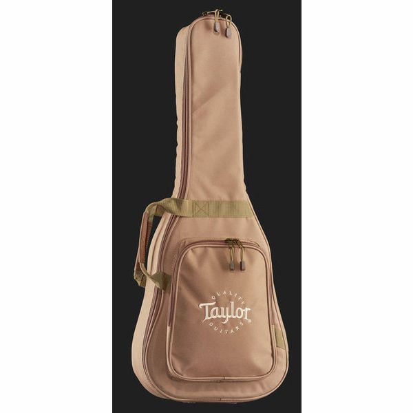 Taylor Big Baby Taylor BBTe