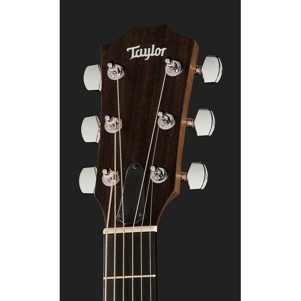 Taylor Academy Series 12e Walnut/Spr