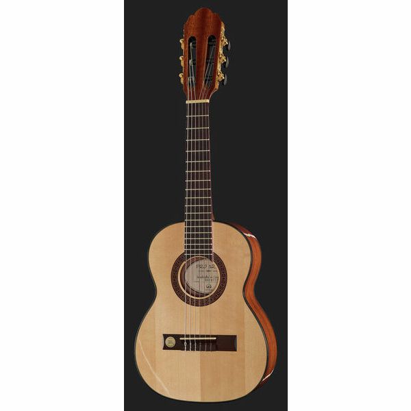 Gewa Pro Arte GC-25 A