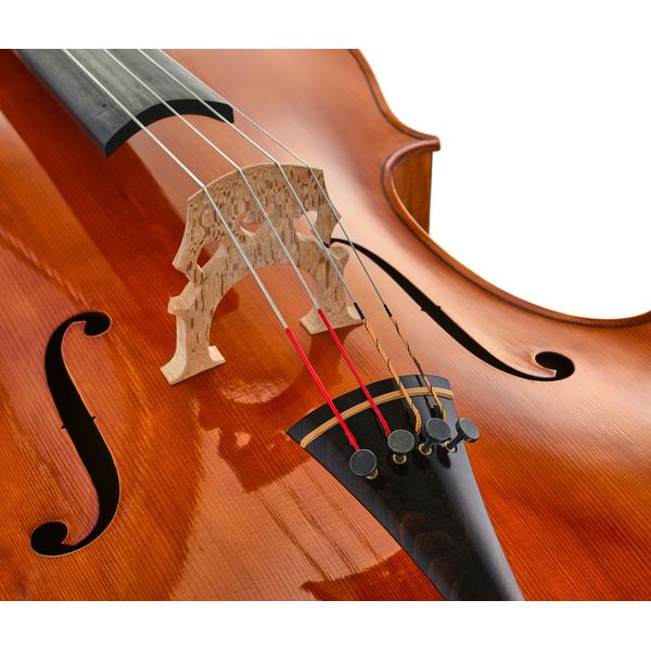 Luca Zerilli Cello Montagnana Napoli 4/4