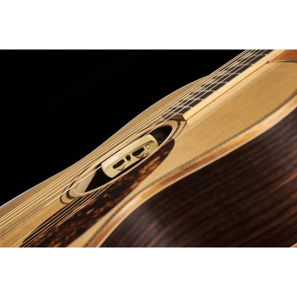 Furch Vintage 3 OM-SR w/Anthem