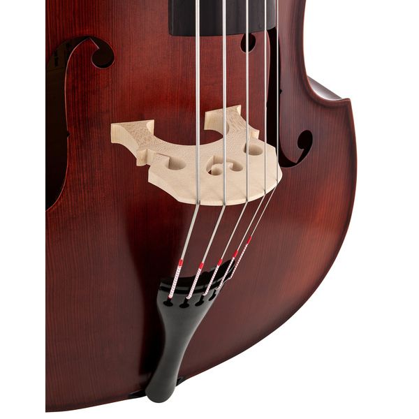 Thomann 22AS/5str. 3/4 Europe Bass