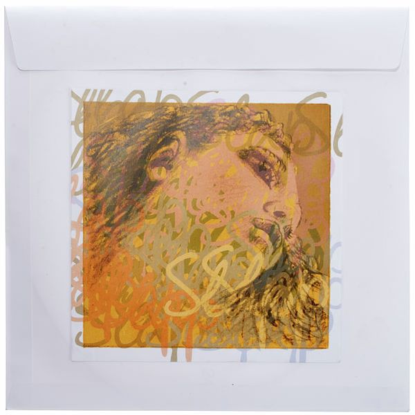 Pirastro Evah Pirazzi Slap D String Gut