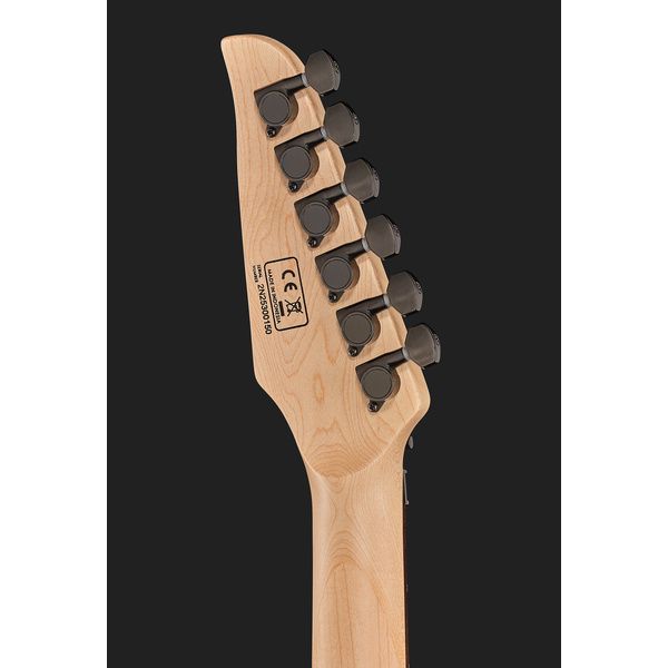 Larry Carlton X5 TBKS