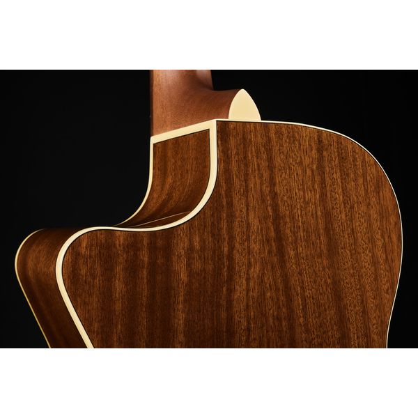 Fender Newporter Player Sunburst WN