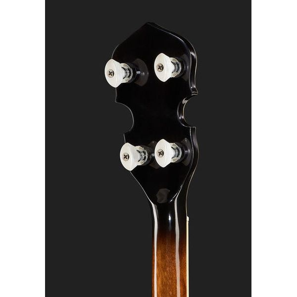 Gold Tone BG-150F Banjo