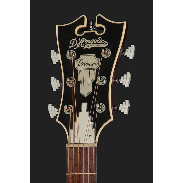 DAngelico Premier Lexington LS