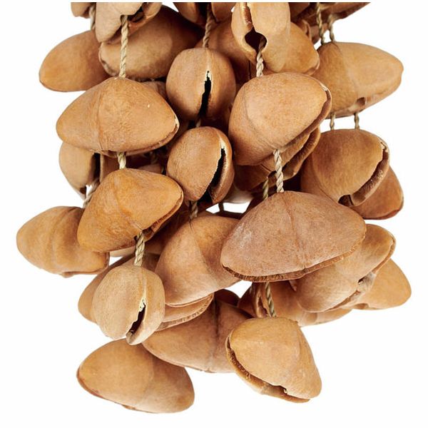 Terre Seed Shaker XXL Cha Cha Nut