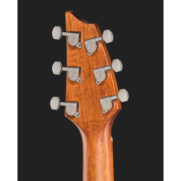 Breedlove Discovery S Concert CE Spruce