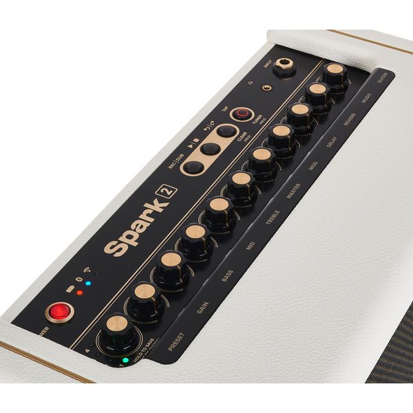 Positive Grid Spark 2 PW