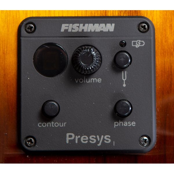 Breedlove Pursuit Ex. S Drdn Conc CE TE