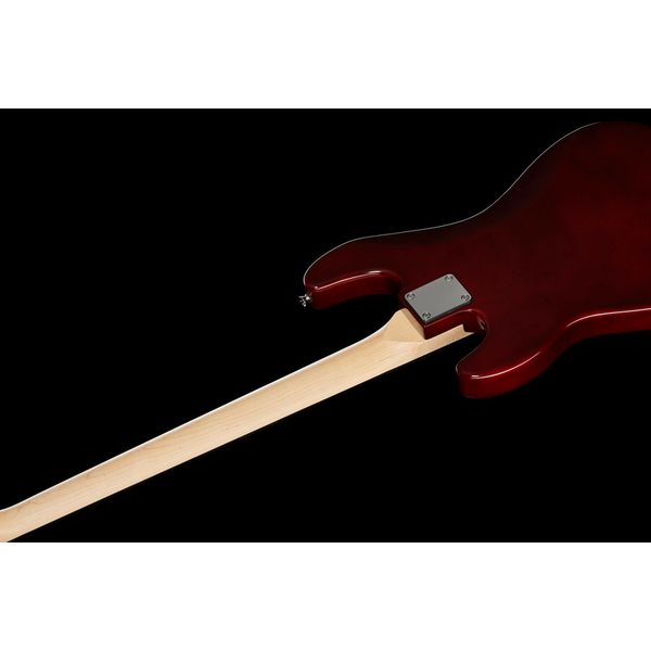 Harley Benton PJ-4 HTR Deluxe Series Set 2