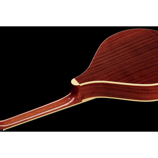 Gold Tone M-800+ Octave Mandoline