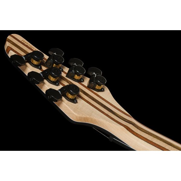 Mayones Guitars Regius 4EVER 6 B27