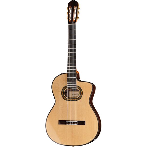 Takamine DH90 w/Softcase