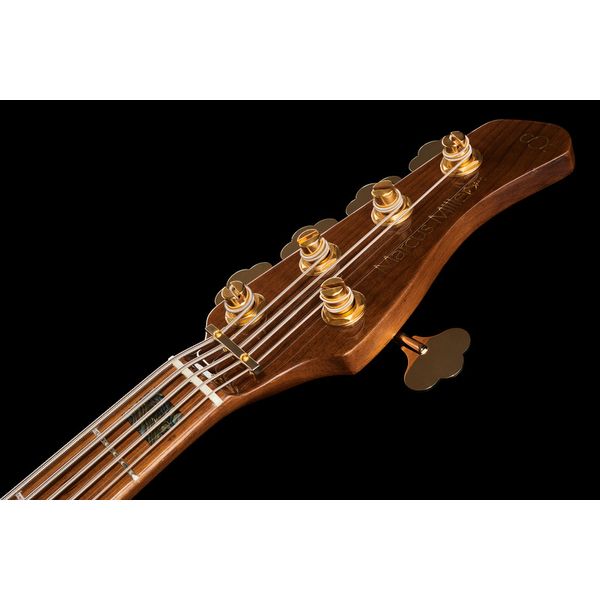Marcus Miller V10DX-5 TS