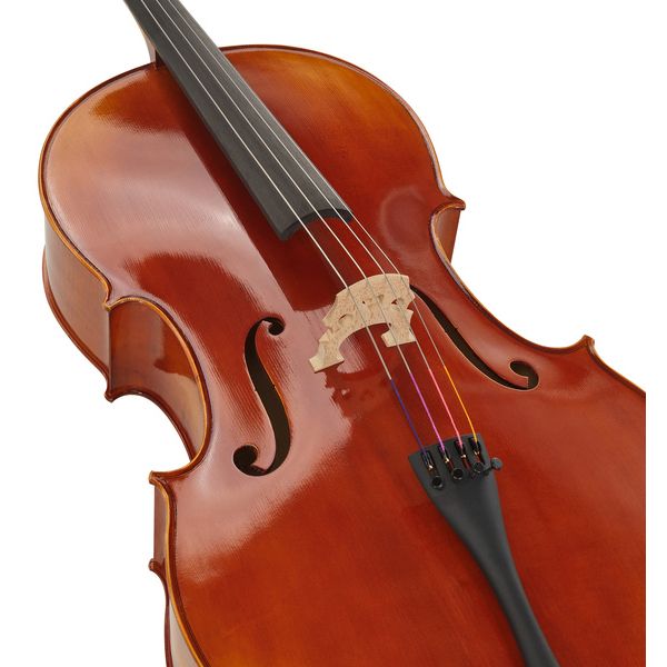 Gewa Maestro 1 Cello 3/4