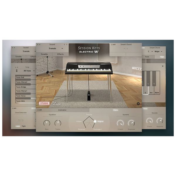e-instruments Session Keys Electric W