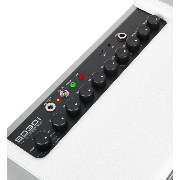 Mooer SD30i Modeling Guitar Combo