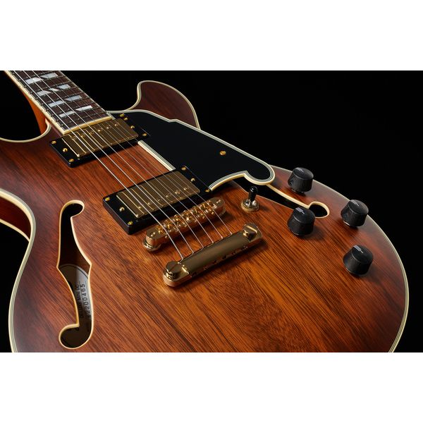 DAngelico Deluxe Mini DC Satin Brown Bur